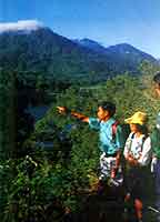 bali tours - jungle trekking
