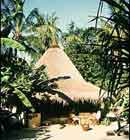 waka nusa resort - bungalow
